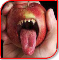 Food, Land & Water Articles